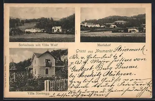 AK Neumarkt /Stmk., Villa Sternegg, Strimitzen mit Villa Wolf, Mariahof