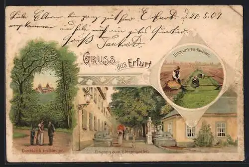 Lithographie Erfurt, Durchblick zum Steiger, Eingang zum Steigergarten, Brunnenkress-Kulturen