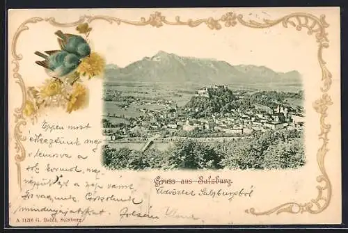 AK Salzburg, Panorama mit Hohensalzburg, lithographiertes Passepartout mit Vögeln