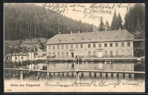 AK Trippstadt, Frhrl. Gienanth`sches Herrenhaus, Gut Trippstadt