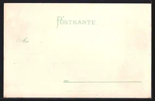 Lithographie Donauwörth, Rathaus, Reichsstrasse, Panorama