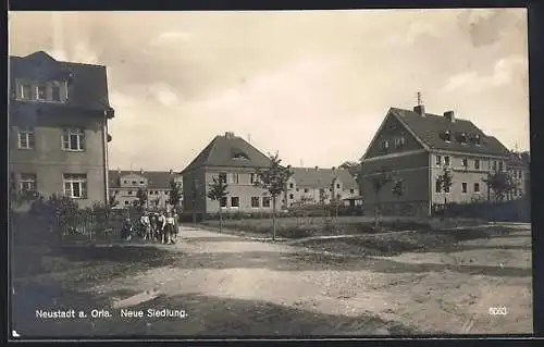 AK Neustadt a. Orla, Neue Siedlung, Strassenpartie mit Wohnhäusern