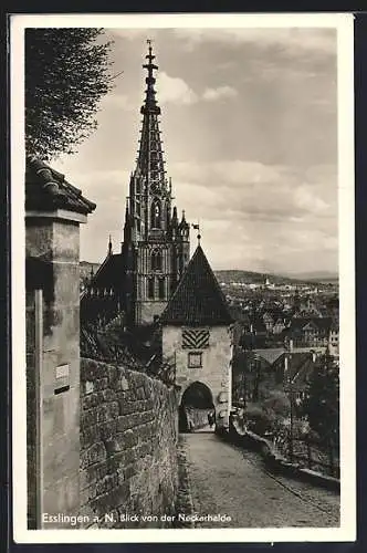 AK Esslingen / Neckar, Blick v. d. Neckarhalde