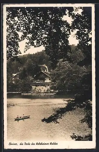 AK Welzheim /Ebnisee, Uferpartie am Welzheimer Wald