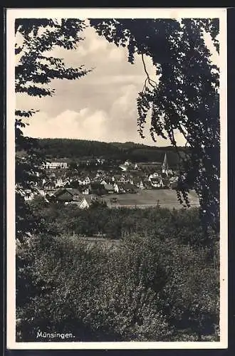 AK Münsingen, Blick vom Waldesrand auf die Ortschaft