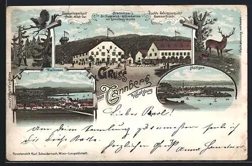 Lithographie Lochen am See, Gruss vom Tannberg, Gasthaus St. Hubertus, Mattsee, Wallersee