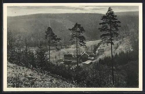 AK Eisenberg i. Thür., Gasthaus Walkmühle im Mühltal