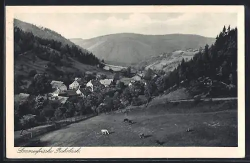 AK Rohrbach / Thür. Wald, Ortsansicht