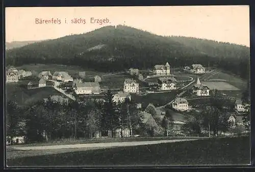 AK Bärenfels i. sächs. Erzgeb., Panorama