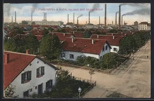 AK Ludwigshafen a. Rhein, Kolonie der Anilinfabrik