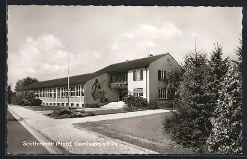 AK Schifferstadt /Pfalz, Vorderansicht der Gemüsebauschule