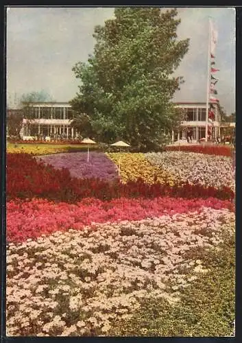 AK Erfurt, Internationale Gartenbau-Ausstellung, Ausstellungshalle mit Blumenbeeten