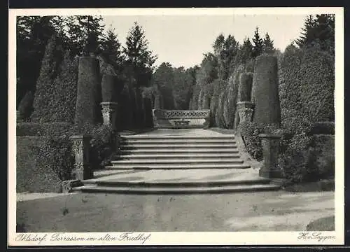 AK Hamburg-Ohlsdorf, Terrassen im alten Friedhof