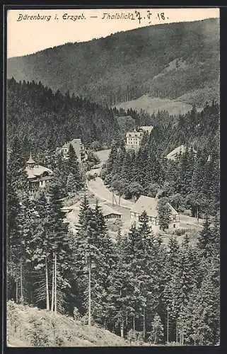 AK Bärenburg i. Erzgeb., Thalblick mit Häusern aus der Vogelschau