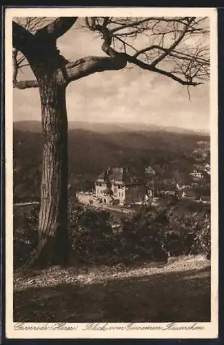 AK Gernrode /Harz, Blick vom Einsamen Bäumchen