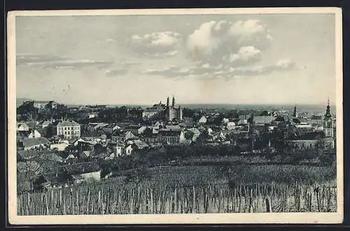 AK Uzhorod, Gesamtansicht mit Kirche