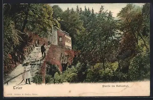 AK Trier, Weg im Busenthal, Blick auf ein Haus