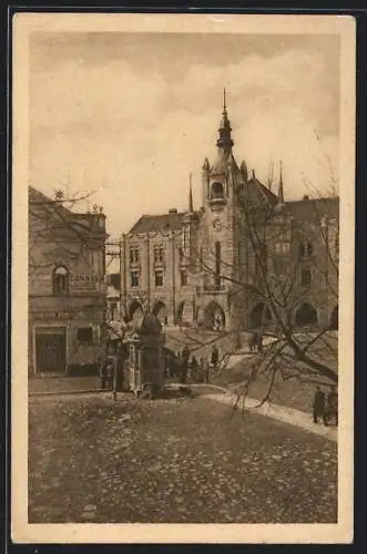 AK Mukacevo, Radnice, Blick von Anhöhe auf Häuser