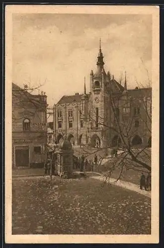 AK Mukacevo, Radnice, Blick von Anhöhe auf Häuser