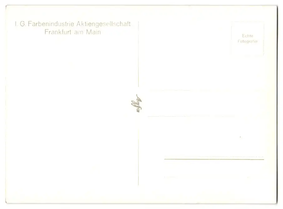 12 Fotografien Ansicht Frankfurt / Main, das neue Verwaltungsgebäude der IG-Farbenindustrie, Architekt: Hans Poelzig 14
