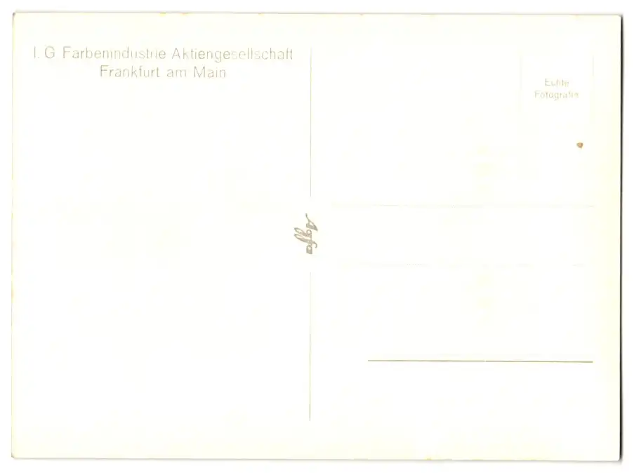 12 Fotografien Ansicht Frankfurt / Main, das neue Verwaltungsgebäude der IG-Farbenindustrie, Architekt: Hans Poelzig 15