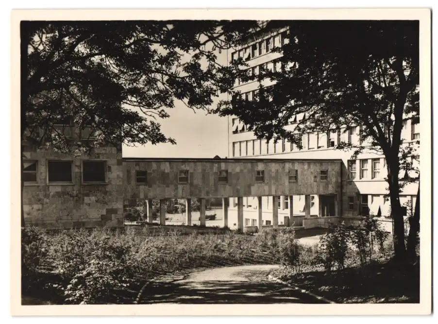 12 Fotografien Ansicht Frankfurt / Main, das neue Verwaltungsgebäude der IG-Farbenindustrie, Architekt: Hans Poelzig 2