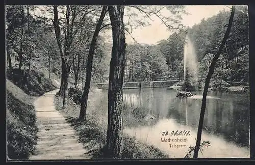 AK Wachenheim / Pfalz, Talsperre