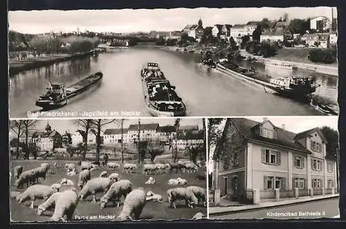 AK Bad Friedrichshall-Jagstfeld am Neckar, Teilansicht, Kindersolbad Bethesda, Neckarpartie mit Schafen