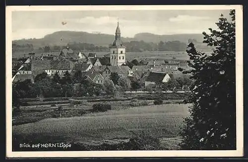 AK Horn i. Lippe, Blick auf den Ort