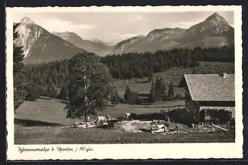 AK Pfronten, Bärenmoos-Alm gegen das Gebirge