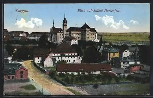 AK Torgau, Blick auf Schloss Hartenfels