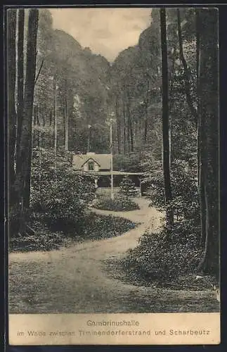 AK Timmendorferstrand, Gasthaus Gambrinushalle im Wald