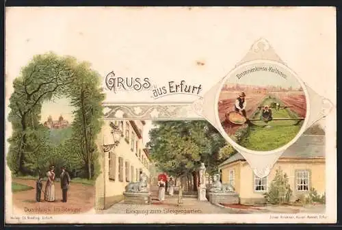 Lithographie Erfurt, Durchblick zum Steiger, Eingang zum Steigergarten, Brunnenkress-Kulturen