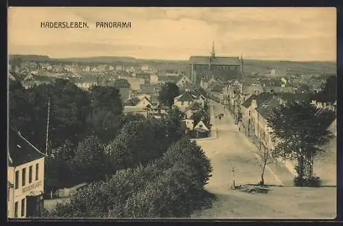 AK Hadersleben, Panorama