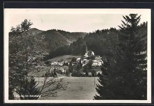 AK Ebenau bei Salzburg, Totalansicht