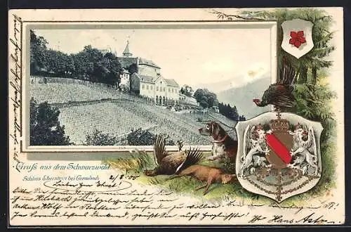 Passepartout-Lithographie Gernsbach, Schloss Eberstein, geprägtes Wappen