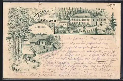 Lithographie Kaltenbronn, Jagdhaus und Gasthaus