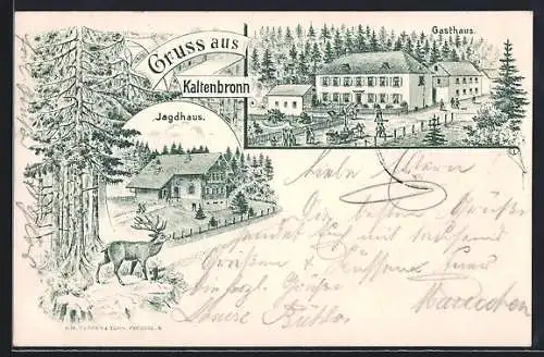 Lithographie Kaltenbronn, Gasthaus und Jagdhaus, Hirsch im Wald