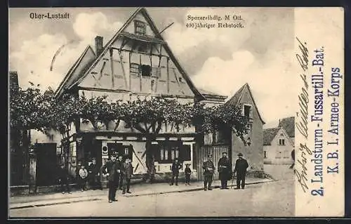 AK Ober-Lustadt, Spezerei-Handlung M. Ott., 400-jähriger Rebstock