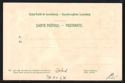 Lithographie Luxemburg, Letzeburg 1858 Bundes-Contingent, Garnison Echternach-Diekirch, Soldat und Wappen