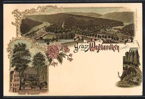 Lithographie Wendefurth, Hotel Grasshof und Totalansicht