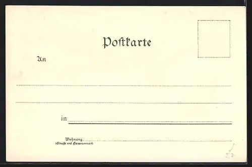 Lithographie Rehau, Ludwigstrasse mit Bezirksamt und Amtsgericht, Maxplatz mit Rathaus, Totalansicht