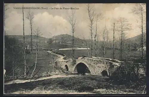 AK Viane-Pierresègade, Le Pont de Planco-Moulino