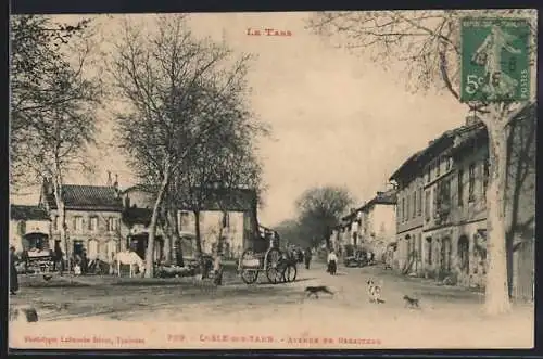 AK L`Isle-sur-Tarn, Avenue de Rabastens, Pferdegespann, Hund