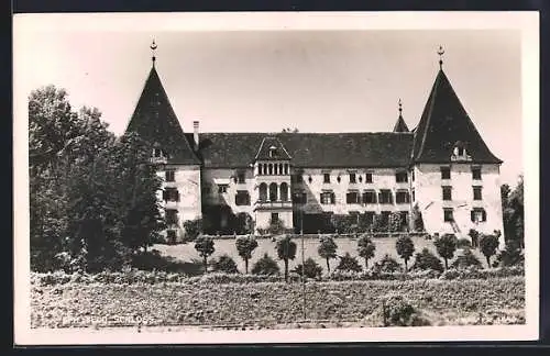 AK Spielfeld, Blick zum Schloss