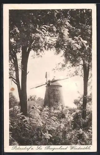 AK Podersdorf am See /Burgenland, Blick zur Windmühle