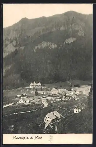 AK Mürzsteg a. d. Mürz, Ortsansicht von einem Berg aus