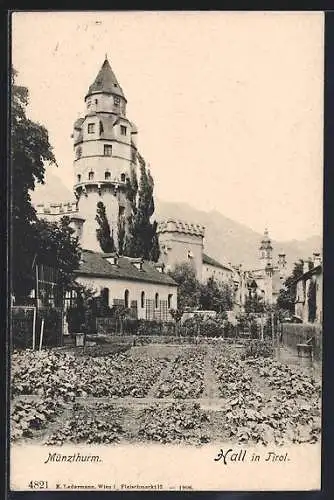 AK Hall in Tirol, Münzthurm