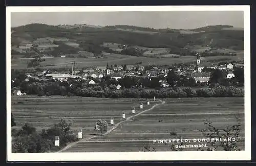 AK Pinkafeld /Burgenland, Gesamtansicht von einer Anhöhe aus