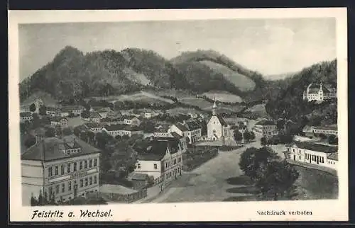 AK Feistritz a. Wechsel, Strassenansicht mit Volksschule